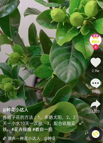 �������၆�F���Ĳ���֮�x���S�ҿ���ϵ�Ԓ��13838587319 �O����