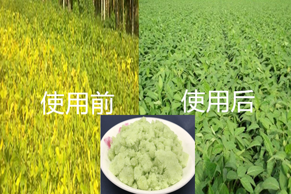 硫酸亞鐵用于農(nóng)業(yè)生產(chǎn),咨詢電話:13838587319