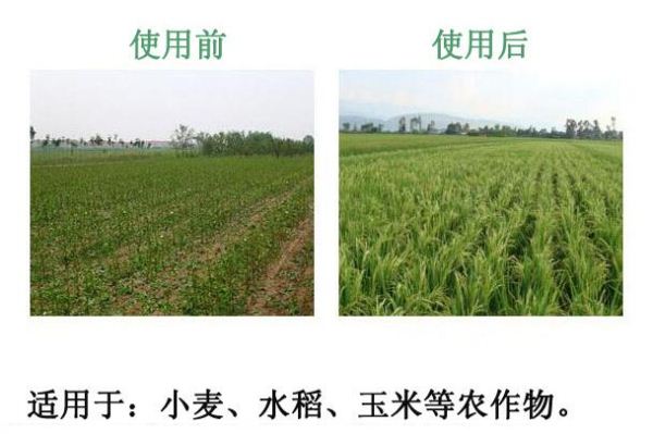 �������၆�F����(li��n)ϵ�Ԓ��13838587319 �O��(j��ng)��